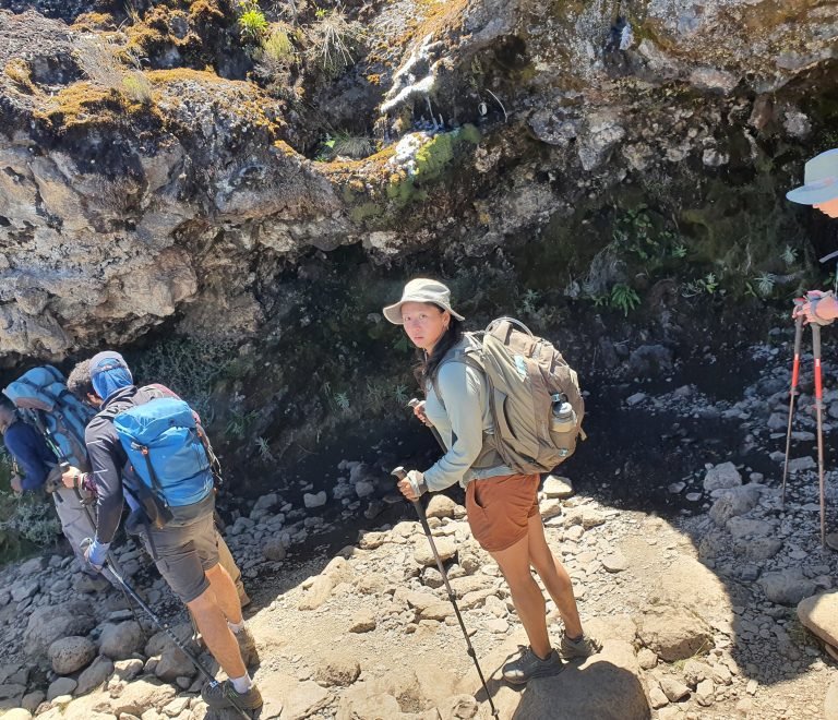 11 Days Kilimanjaro Climbing Northen Circuit Route