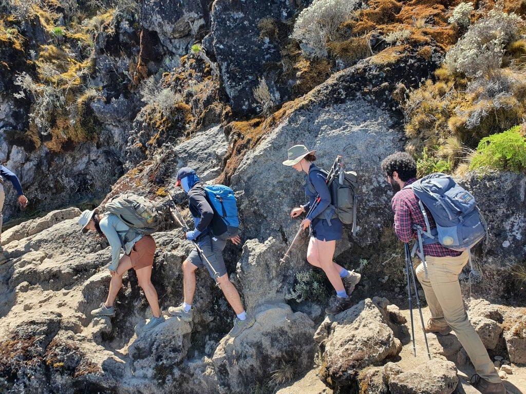 7 Days Kilimanjaro Climbing Lemosho Route