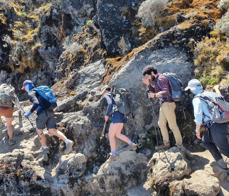 7 Days Kilimanjaro Climbing Lemosho Route