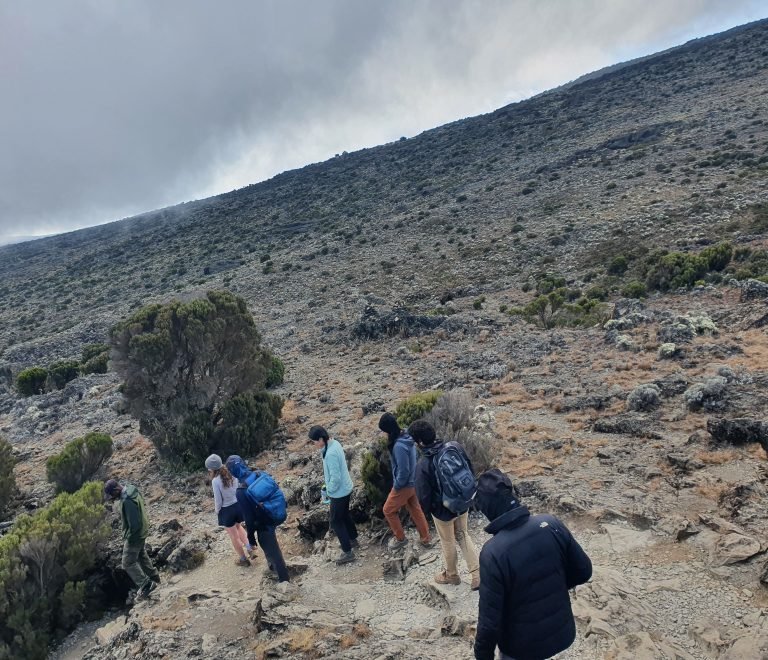 6 Days Kilimanjaro Climbing Rongai Route