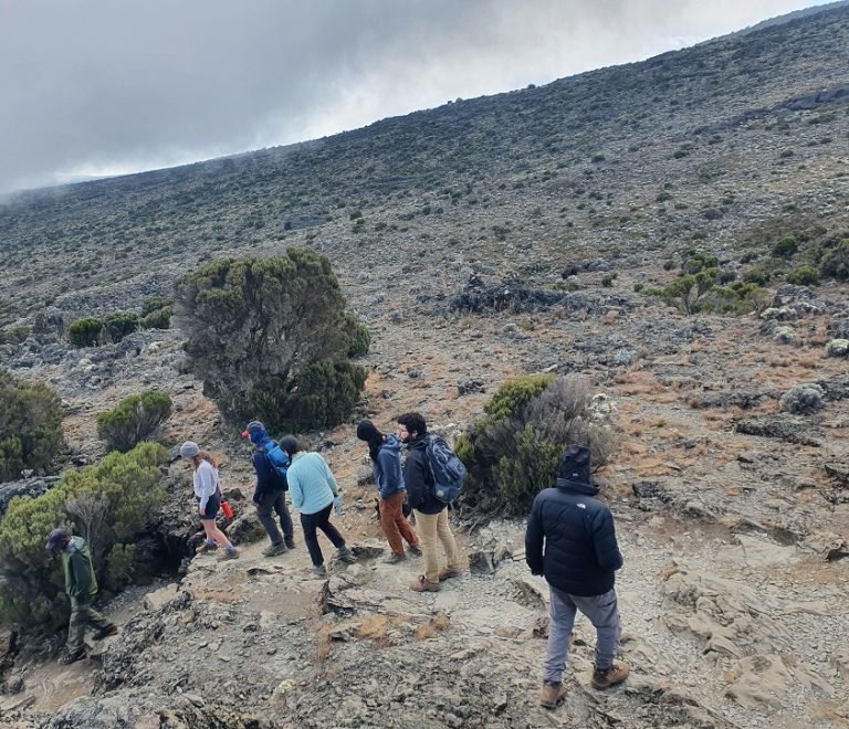 7 Days Kilimanjaro Climbing Machame Route