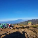 Days Kilimanjaro Climbing Northern Circuit Route