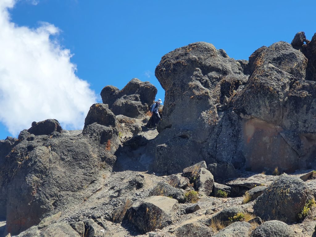  Days Kilimanjaro Climbing Northern Circuit Route