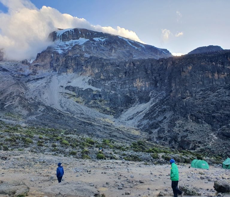 10 Days Kilimanjaro Climbing Northen Circuit Route