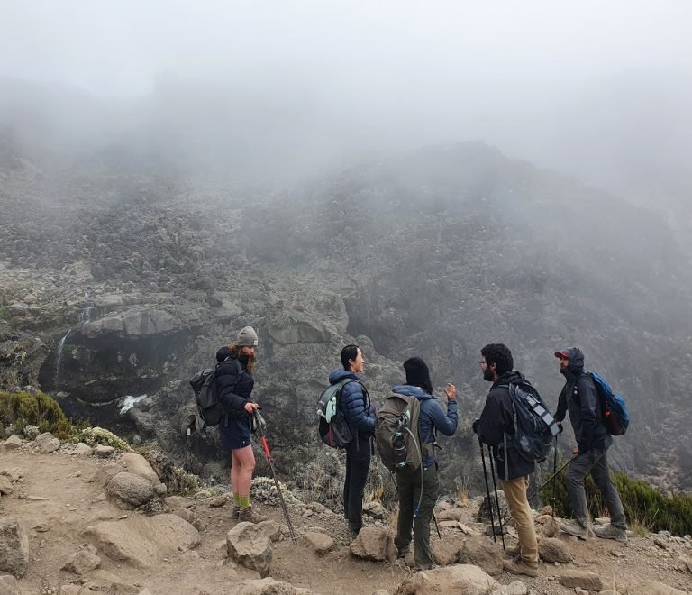 Lemosho Route 7 Days Itinerary And Prices