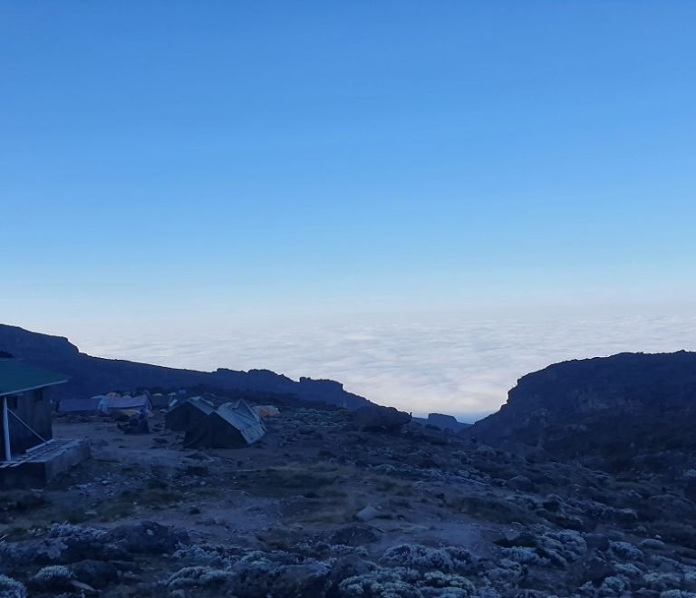 Kilimanjaro Rongai Route 7 Days