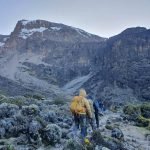 8 Days Kilimanjaro Climbing Lemosho Route