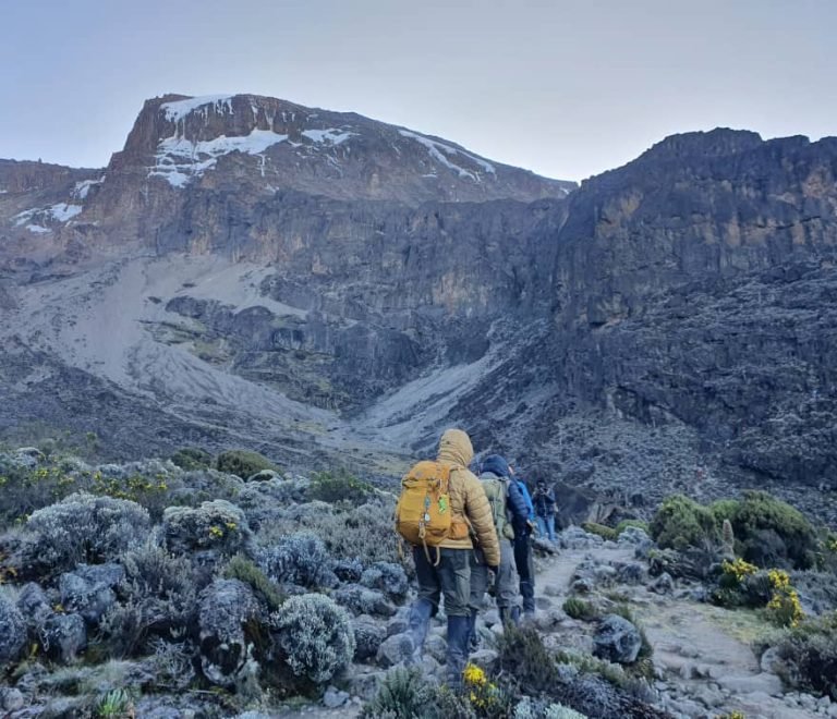8 Days Kilimanjaro Climbing Lemosho Route