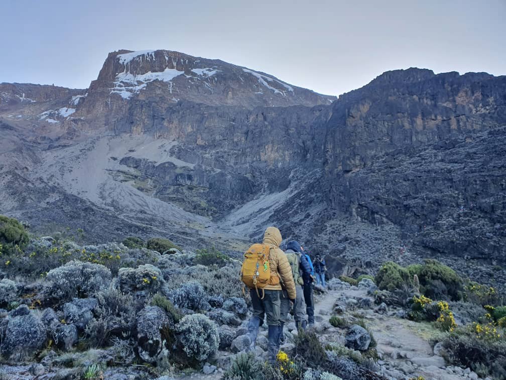 8 Days Kilimanjaro Climbing Lemosho Route