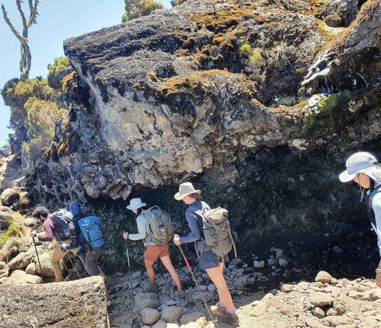 Kilimanjaro Rongai Route 7 Days
