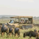 The Best 10 Days Tanzania Safari