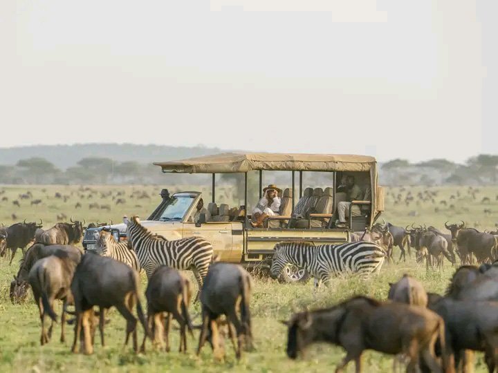 The Best 10 Days Tanzania Safari