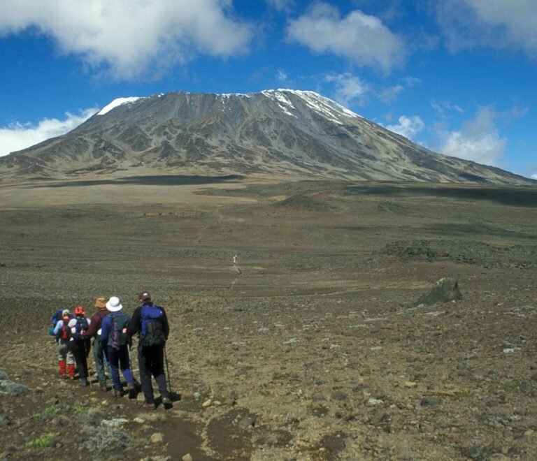 Kilimanjaro Day Hike From Moshi | Kilimanjaro Marangu Route