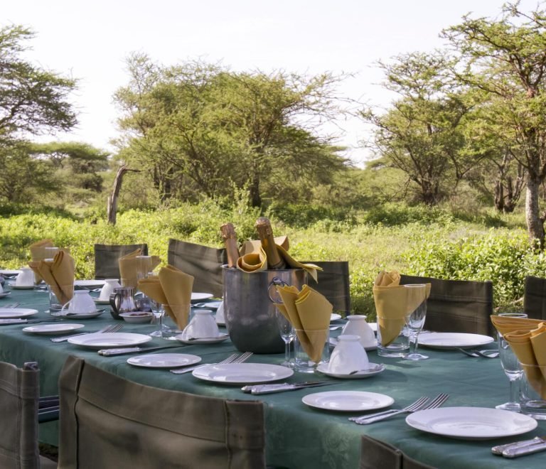 3 Days Tanzania greatest safari tours to Tarangire National Park, Ngorongoro Crater & Lake Manyara