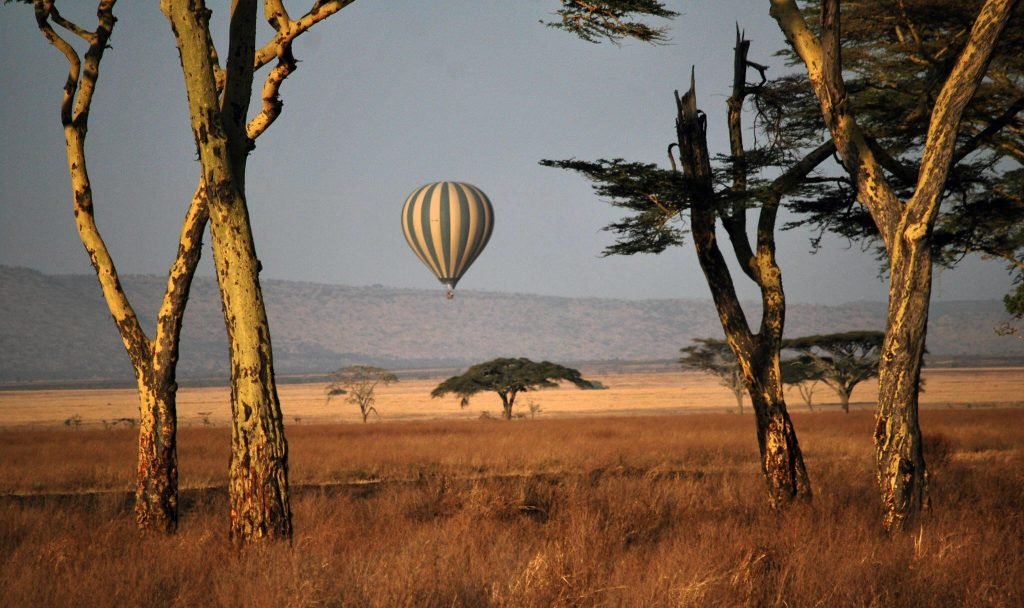 The Greatest 6 Days Serengeti Baloon Safari| Tanzania Wildlife Safari