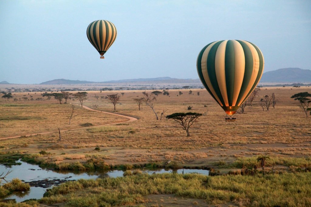 The Greatest 7 Days Serengeti Baloon Safari| Tanzania Wildlife Safari