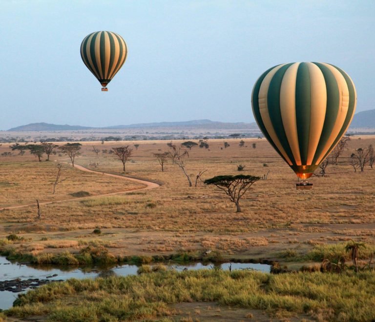 The Greatest 6 Days Serengeti Baloon Safari| Tanzania Wildlife Safari