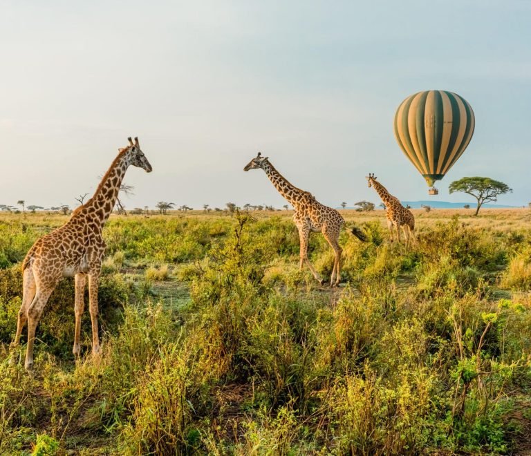 Greatest 3 Days Serengeti Baloon Safari