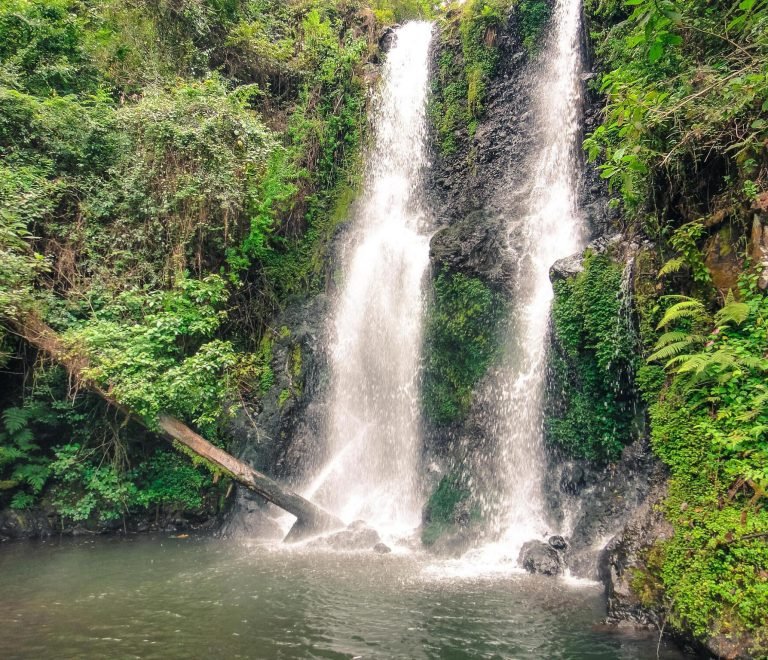 Marangu Waterfalls Day Trips.