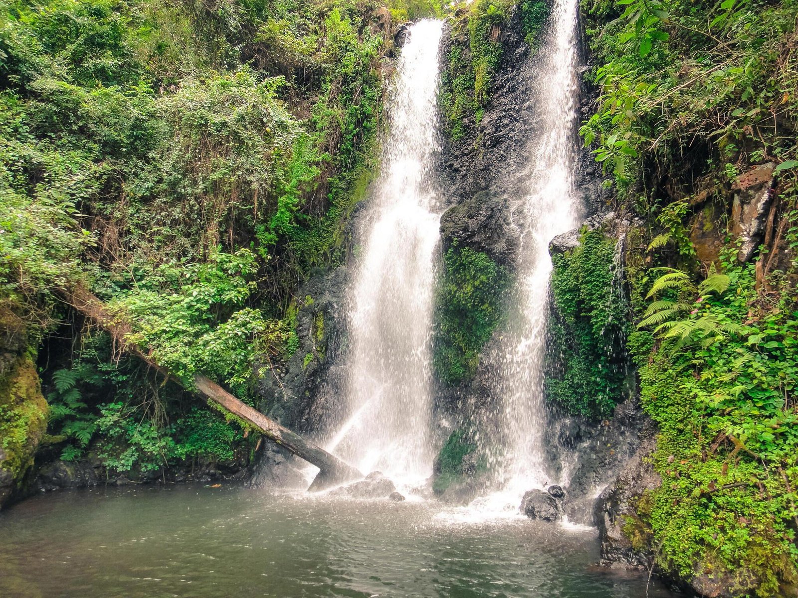 Marangu Waterfalls Day Trips.