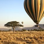 The Greatest 7 Days Serengeti Baloon Safari| Tanzania Wildlife Safari
