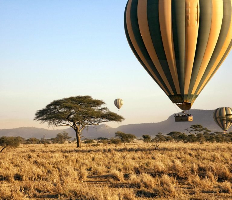 The Greatest 7 Days Serengeti Baloon Safari| Tanzania Wildlife Safari
