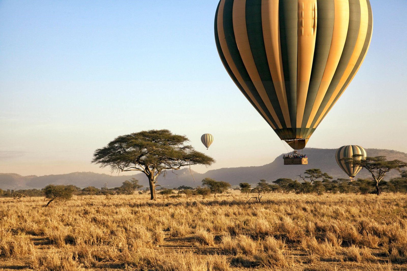 Greatest 4 Days Serengeti Baloon Safari