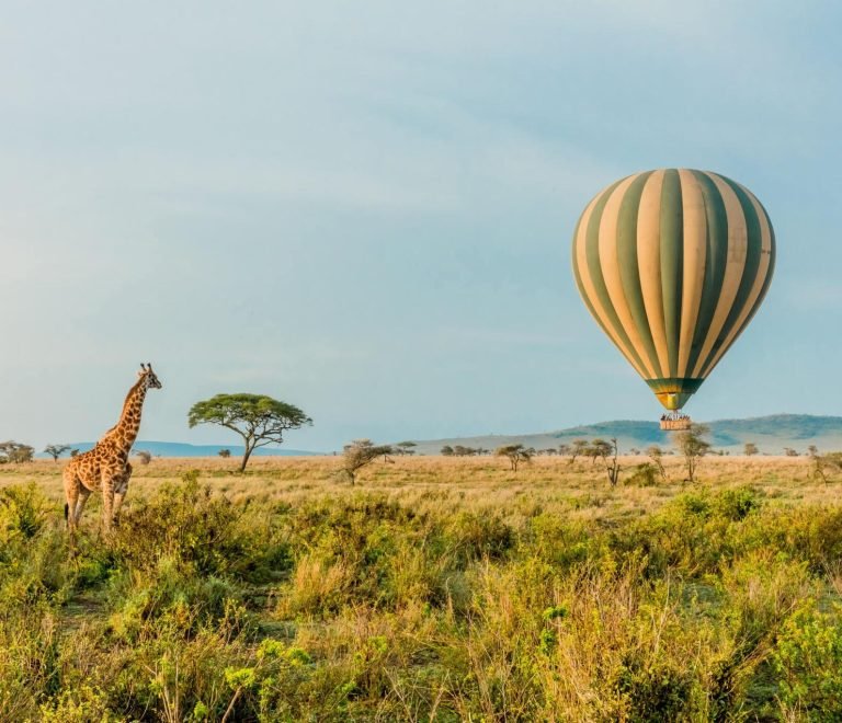5 Days Serengeti Baloon Safari| Tanzania Wildlife Safari