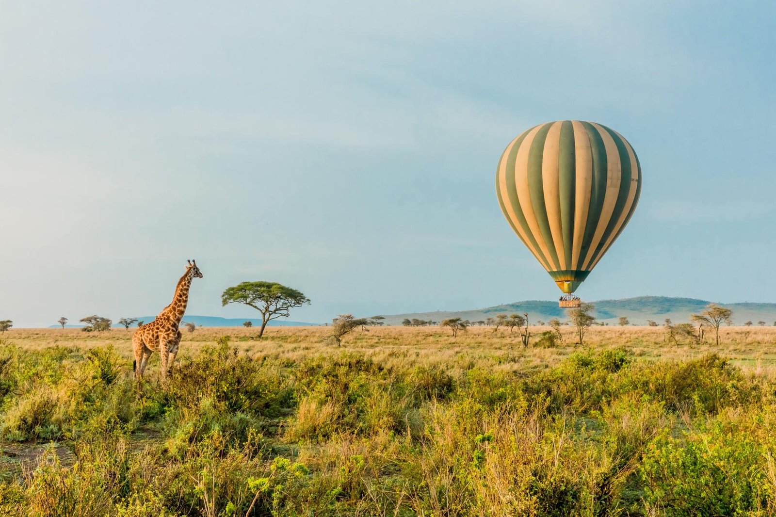 5 Days Serengeti Baloon Safari| Tanzania Wildlife Safari