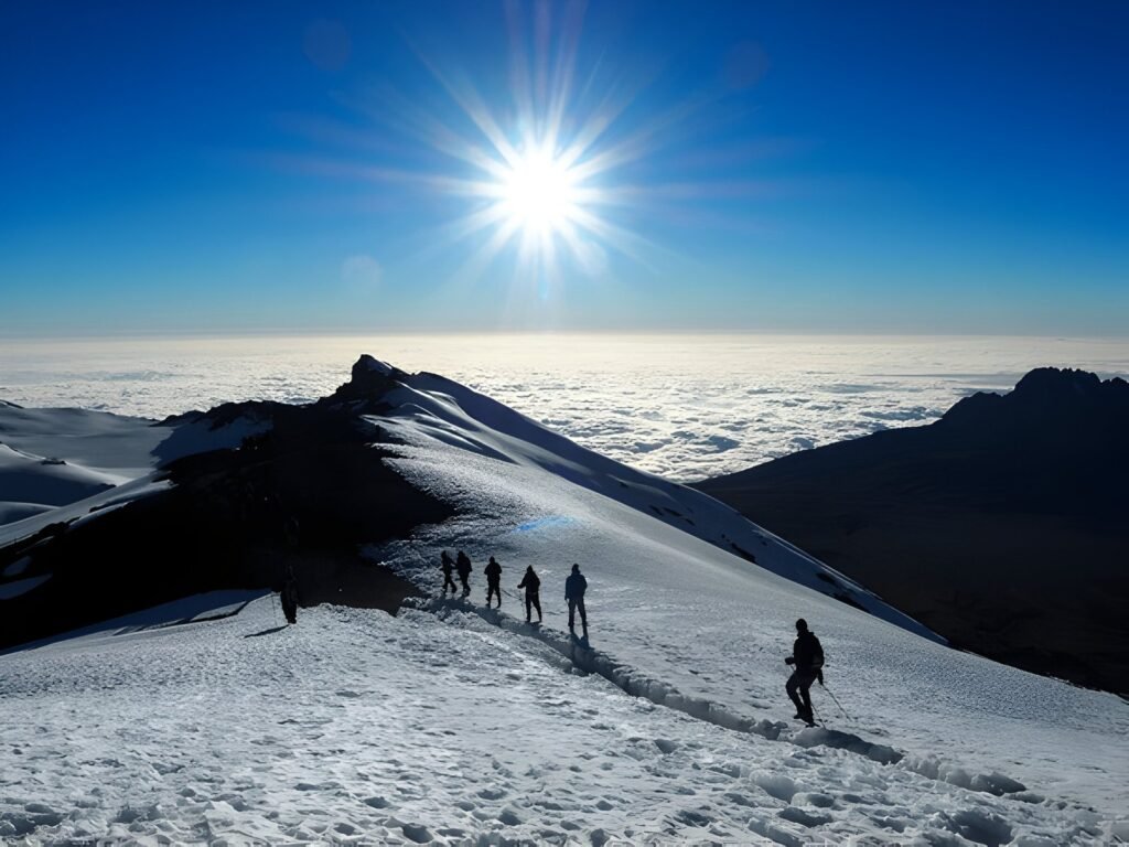 The most popular 9 Days Kilimanjaro Climbing Northern Circuit Route 2 The most popular 9 Days Kilimanjaro Climbing Northern Circuit Route