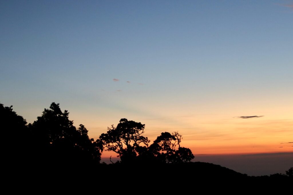 The Best 3 Days Tanzania Safari Tour From Arusha 2 The Best 3 Days Tanzania Safari Tour From Arusha