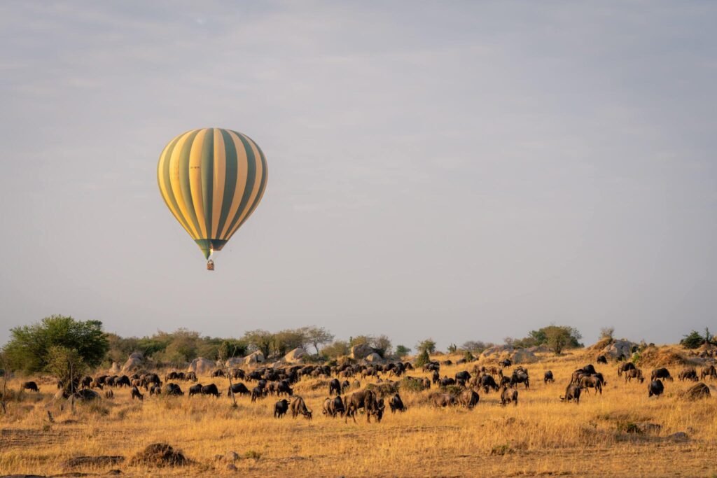 The Best 6-Days Serengeti Wildebeest Migration Safari in 2025/26 2 The Best 6-Days Serengeti Wildebeest Migration