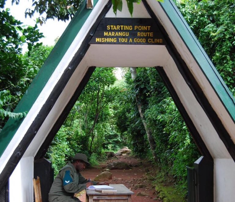 The best Marangu route in 5 days