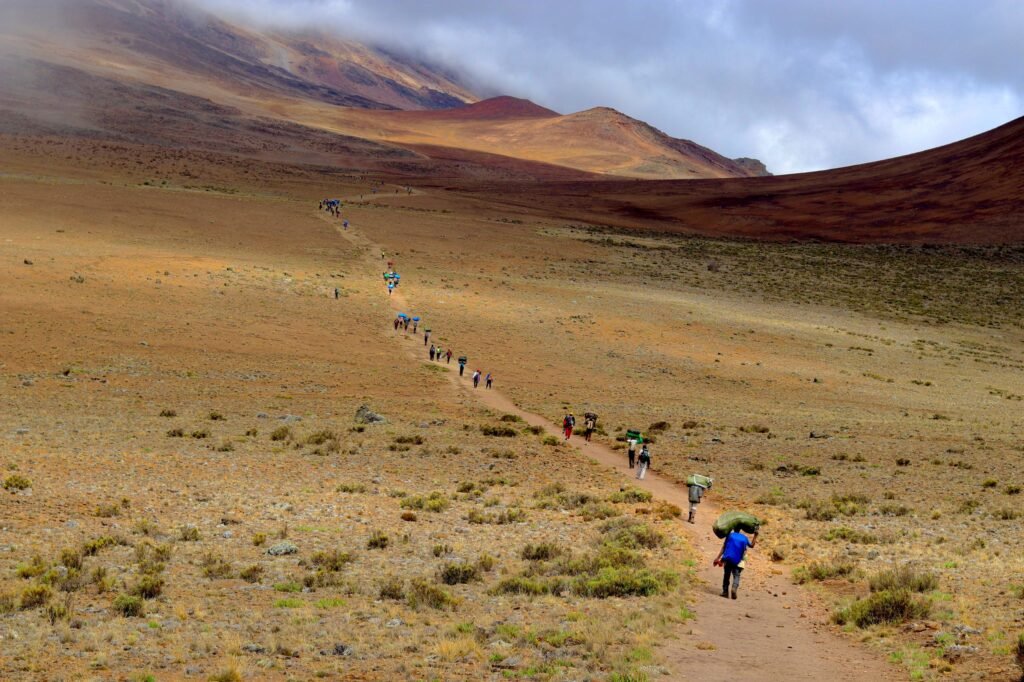 The best Climb in Kilimanjaro's Marangu route 5 days 2 The best Climb in Kilimanjaro's Marangu route 5 days