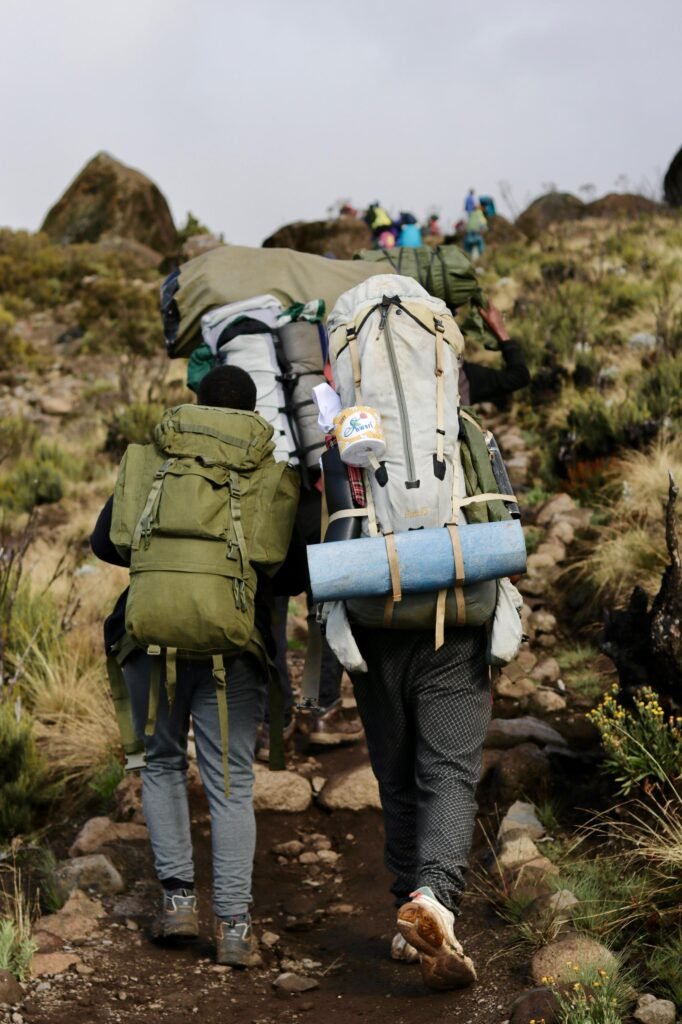 The Best Kilimanjaro Climb : Lemosho Route in 8 Days 2 The Best Kilimanjaro Climb : Lemosho Route in 8 Days