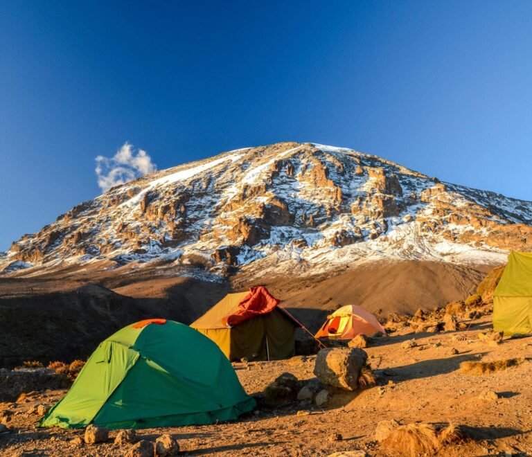 kilimanjaro's lemosho route in 7 days