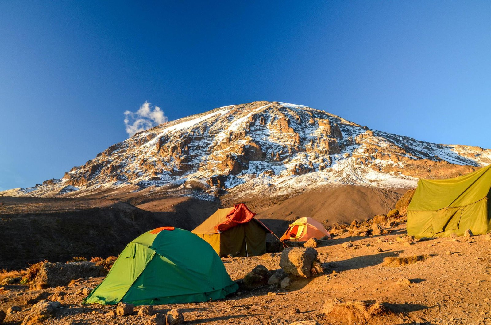 kilimanjaro's lemosho route in 7 days