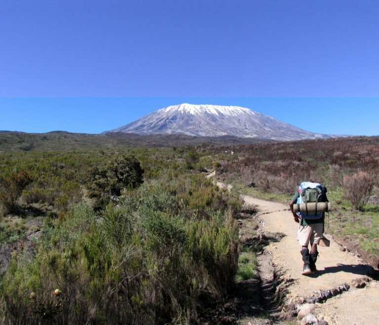Machame route in 7 days Climb