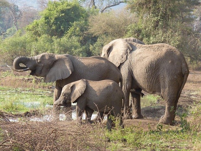 7 days tanzania safari