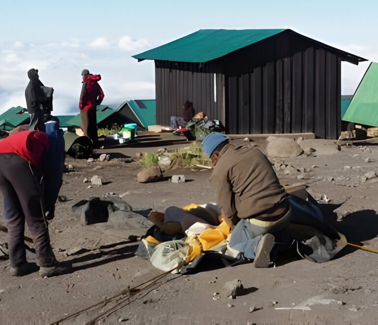 ultimate Mount Kilimanjaro Climbing Guide 2025