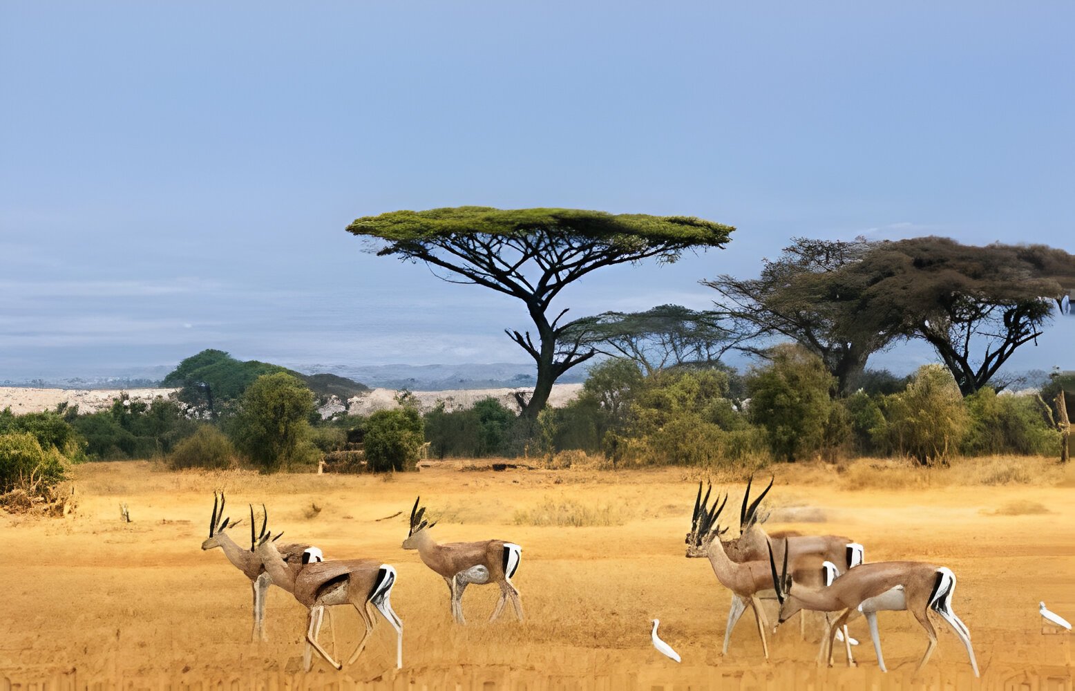 How to Avoid Crowds on a Tanzania Safari