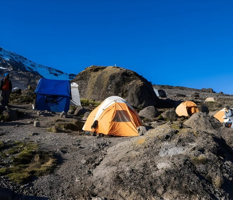 ultimate Kilimanjaro Private vs Group Climb – 2025 Comparison Guide