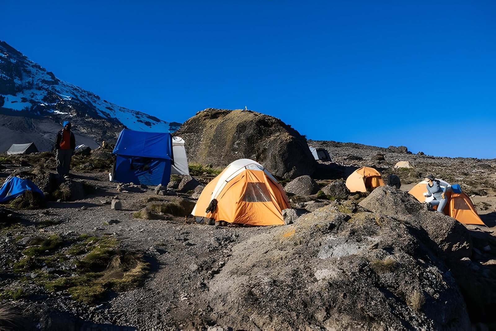 ultimate Kilimanjaro Private vs Group Climb – 2025 Comparison Guide