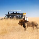 Ultimate Tanzania Safari Vehicles Explained 2025 – Types, Features & What to Expect