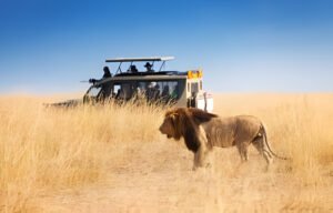 Ultimate Tanzania Safari Vehicles Explained 2025 – Types, Features & What to Expect