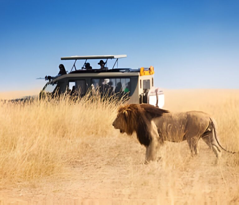 Ultimate Tanzania Safari Vehicles Explained 2025 – Types, Features & What to Expect