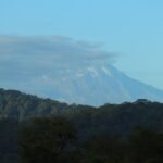 kilimanjaro overview city