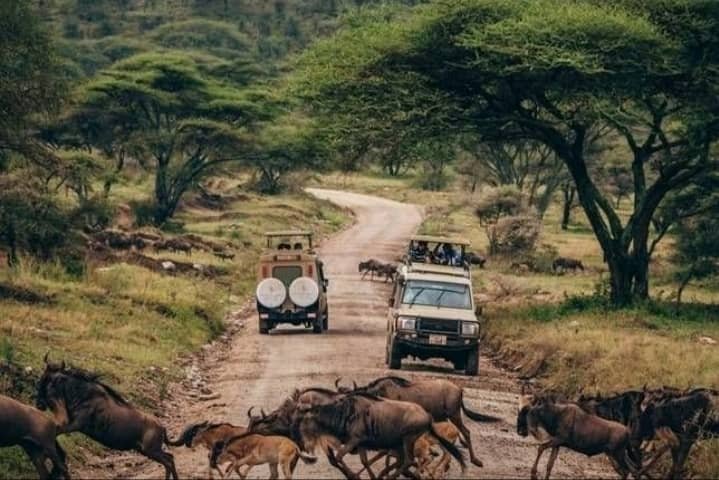 tanzania safari images from razan safaris 8