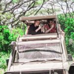 tanzania safari travel guide