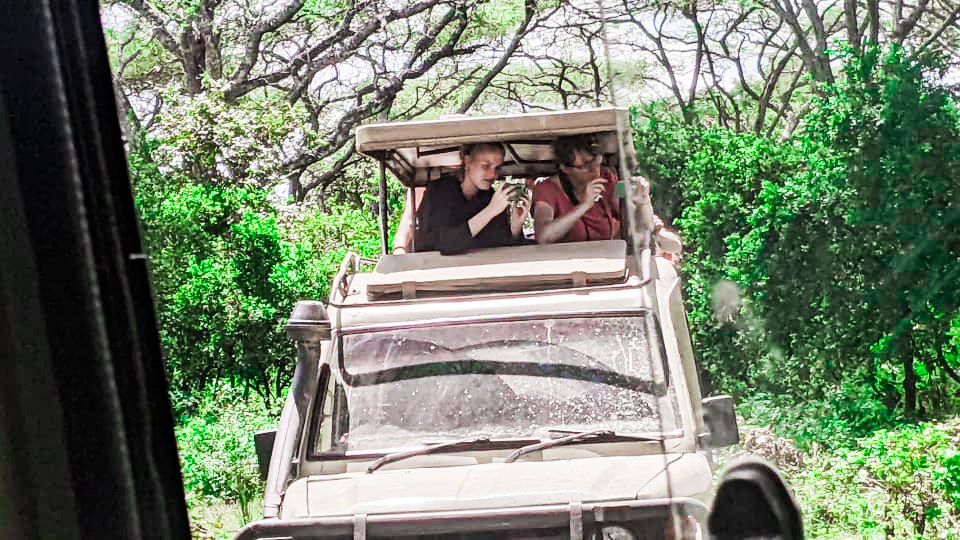 10 Best Tanzania Safari Travel Guide Tips for 2025: Plan the Ultimate Adventure 1 tanzania safari travel guide